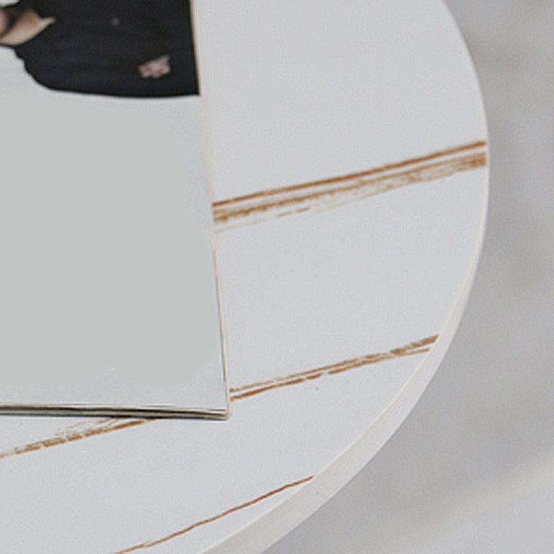 Modern Round Stone Top End Table 21.6"Tall Pedestal Side Table Clearhalo 'Coffee & Accent Tables' 'End & Side Tables' 'end_side_table' 'end_side_tables' 'furn' 'furn_end_side_tables' 'Furniture' 'furniture_end_side_table' 'Living Room Furniture' 1200x1200_5ce4c551-3f4d-4d11-a389-51cbdf6d55a8