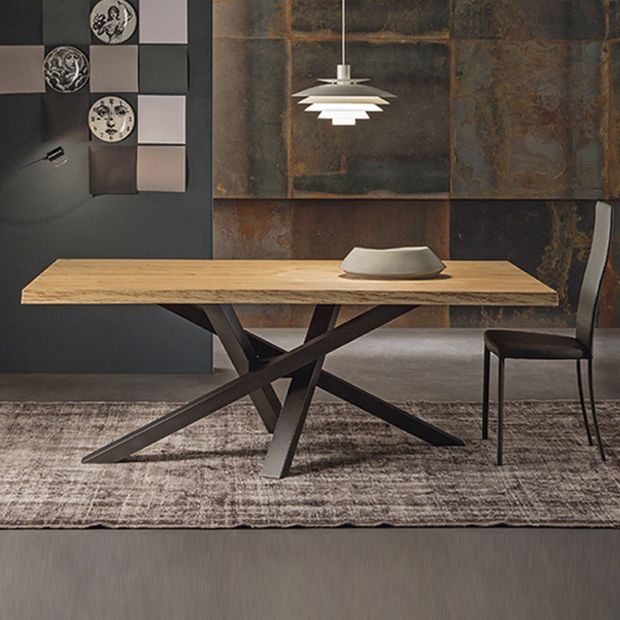 Rectangle Industrial Style Dining Table Solid Wood Fixed Table for Restaurant Clearhalo ' dining_table' 'Dining Tables & Seating' 'Dining Tables' 'furn' 'furn_dining_table' 'Furniture' 'furniture_dining_table' 'Kitchen & Dining Furniture' 'kitchen&dining_furn' 'kitchen' 'kitchen_dining_table' 1200x1200_5d038a5c-52db-4427-badc-e71e6f1f899d