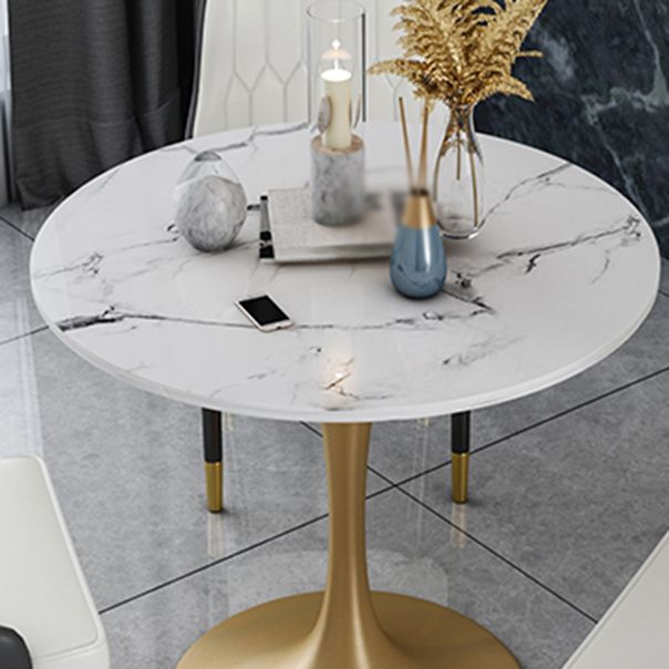 Glam 1/2/4/5 Pieces Iron Dinette Set with Sintered Stone Top Round Dining Table Set Clearhalo 'Dining Room Sets' 'Dining Tables & Seating' 'dining_room_set' 'furn' 'furn_dining_room_set' 'Furniture' 'furniture_dining_room_set' 'Kitchen & Dining Furniture' 1200x1200_5d5aa210-93ab-4916-93c8-710752dbd328