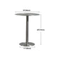 Modern Silver Metal Counter Table with Round Table Top Silver Pedestal Table Clearhalo 'Bar Furniture' 'Bar Tables' 'bar_tables' 'furn' 'furn_bar_tables' 'Furniture' 'furniture_bar_tables' 'Kitchen & Dining Furniture' 1200x1200_5d5d1fd5-069b-483c-a1f2-5e8cf0f2f488