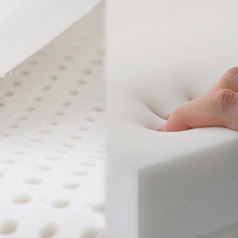 Contemporary Pillow Top Arm Settee Orange Faux Leather Sofa for Living Room Clearhalo 'furn' 'furn_sofas' 'Furniture' 'Living Room Furniture' 'Sofa' 'sofas' 1200x1200_5da6f670-e86b-4a2a-8bb1-8dfca55b005d