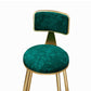 Glam Metal Barstool Velvet Gold Furniture in Matte Finish for Indoor Clearhalo 'Bar Furniture' 'Bar Stools' 'bar_stools' 'furn' 'furn_bar_stools' 'Furniture' 'Kitchen & Dining Furniture' 1200x1200_5dbbd71c-29e0-420c-b4b2-8499f00c7b86