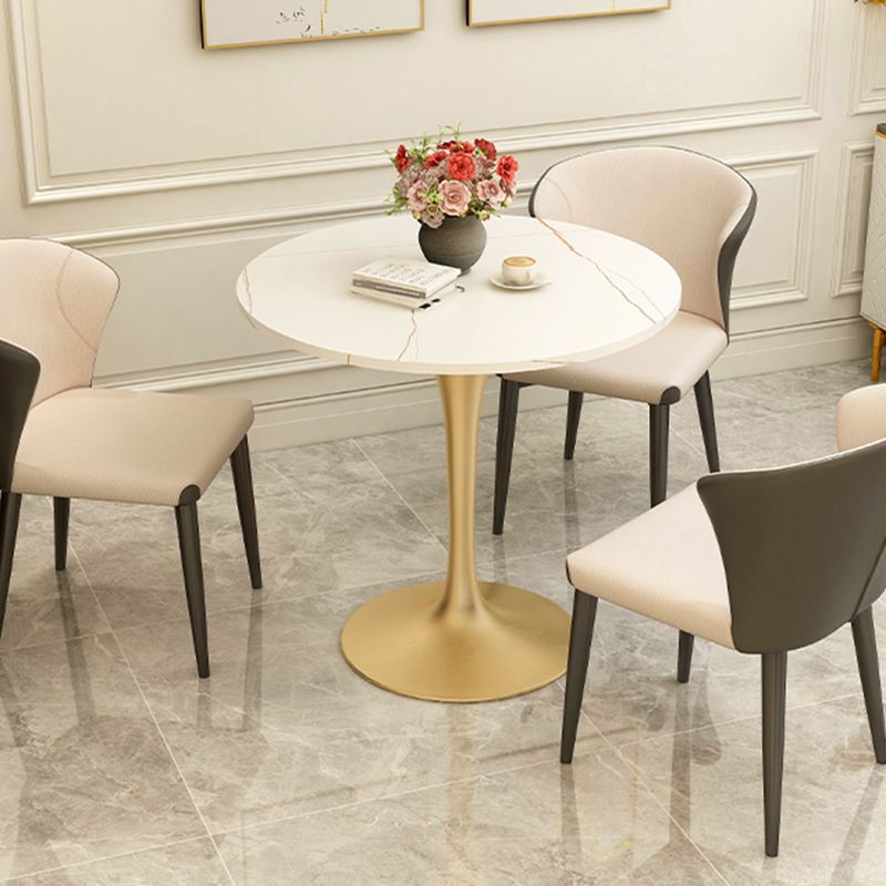 Modern Style Dining Table Sintered Stone Round Tulip Table for Dining Room Clearhalo 'Dining Tables & Seating' 'Dining Tables' 'dining_table' 'furn' 'furn_dining_table' 'Furniture' 'Kitchen & Dining Furniture' 1200x1200_5dc0e2c6-cf3f-440b-b999-6c52f307ec16