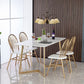 Modern Dining Furniture Set 1/5 Pcs Stone Dining Table with Metal Frame Armless Chairs