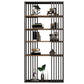 Black Color Modern Style Bookshelf Metal Bookcase for Home Use Clearhalo 'Bookcases' 'furn' 'furn_bookcases' 'Furniture' 'Office Furniture' 1200x1200_5e230df1-66e4-4caa-bb9b-90201390df69