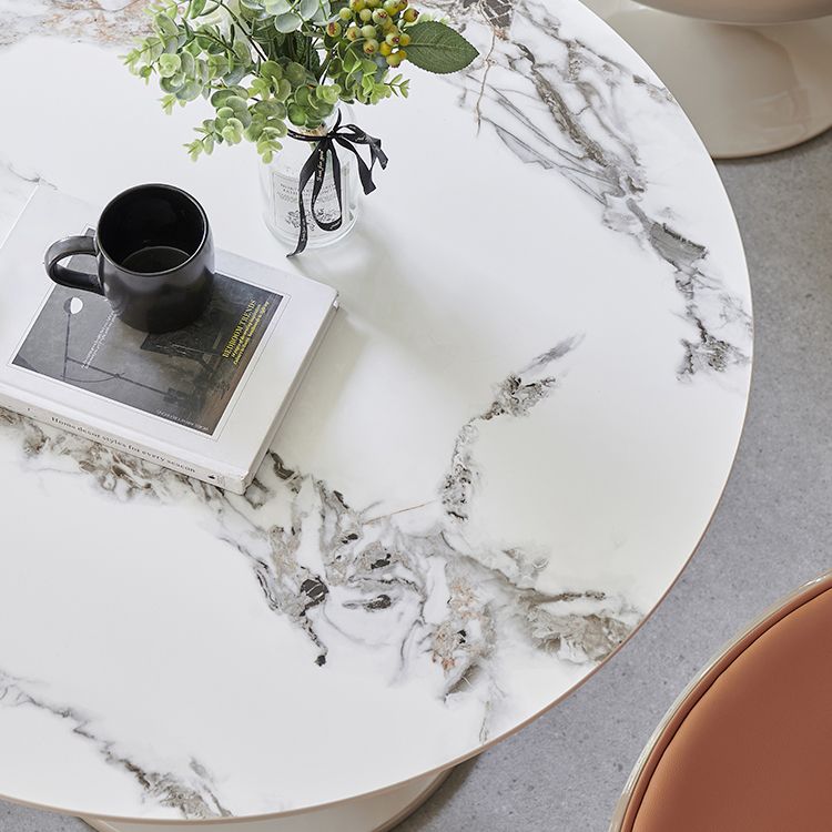 Round Shape White Dining Table Sintered Stone Table Modern with Tulip Base Clearhalo ' dining_table' 'Dining Tables & Seating' 'Dining Tables' 'furn' 'furn_dining_table' 'Furniture' 'furniture_dining_table' 'Kitchen & Dining Furniture' 'kitchen&dining_furn' 'kitchen' 'kitchen_dining_table' 1200x1200_5e4663cb-1aec-402d-b4a1-435eb19dfe44