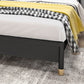 Metal and Upholstered Panel Bed Glam 39.4" Tall Standard Bed