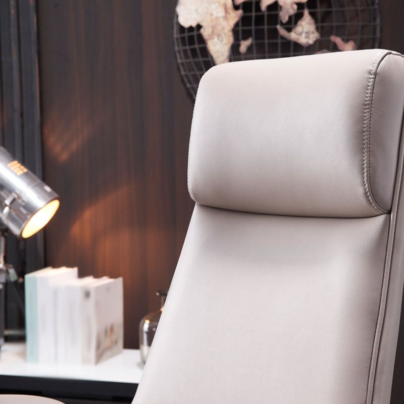 Hedendaagse High Back Executive Chair Padded Arms Bureau Chair voor Home Office