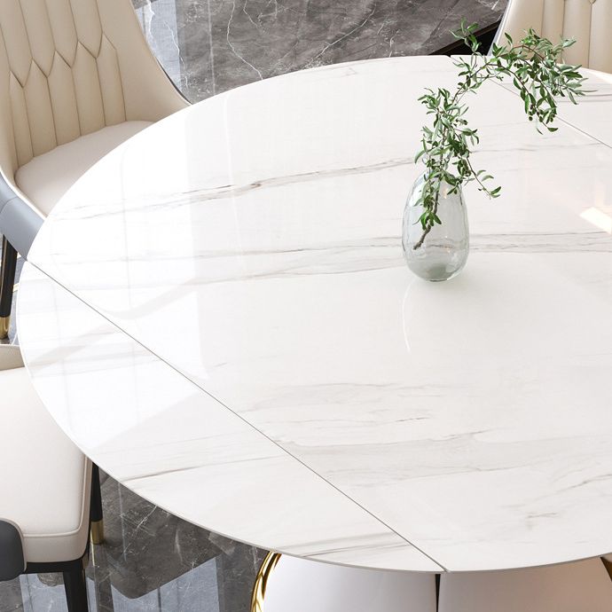 Modern Round Dining Table Sintered Stone Dining Table with Pedestal Base for Home Kitchen Dinner Clearhalo ' dining_table' 'Dining Tables & Seating' 'Dining Tables' 'furn' 'furn_dining_table' 'Furniture' 'furniture_dining_table' 'Kitchen & Dining Furniture' 'kitchen&dining_furn' 'kitchen' 'kitchen_dining_table' 1200x1200_60073816-7879-4c9d-a1dc-8bd1ca1d1903