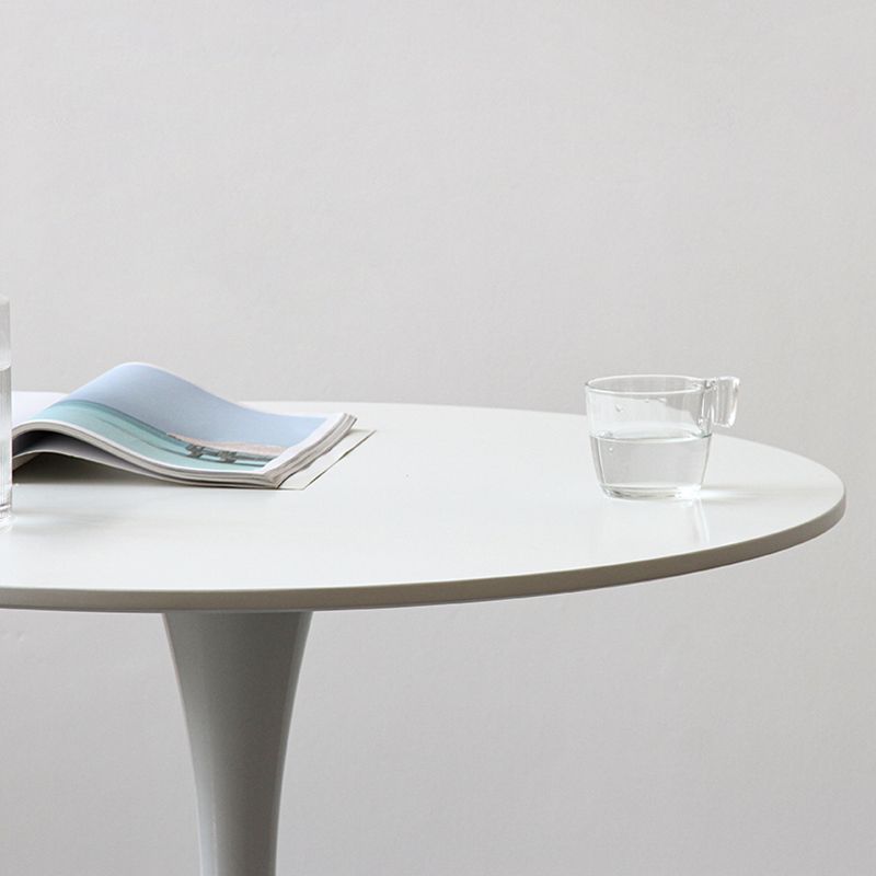 Contemporary Round Shape Sintered Stone Dining Table Standard Dining Table for Kitchen Clearhalo ' dining_table' 'Dining Tables & Seating' 'Dining Tables' 'furn' 'furn_dining_table' 'Furniture' 'furniture_dining_table' 'Kitchen & Dining Furniture' 'kitchen&dining_furn' 'kitchen' 'kitchen_dining_table' 1200x1200_60ad204a-1012-4620-9964-4f8a4e541289