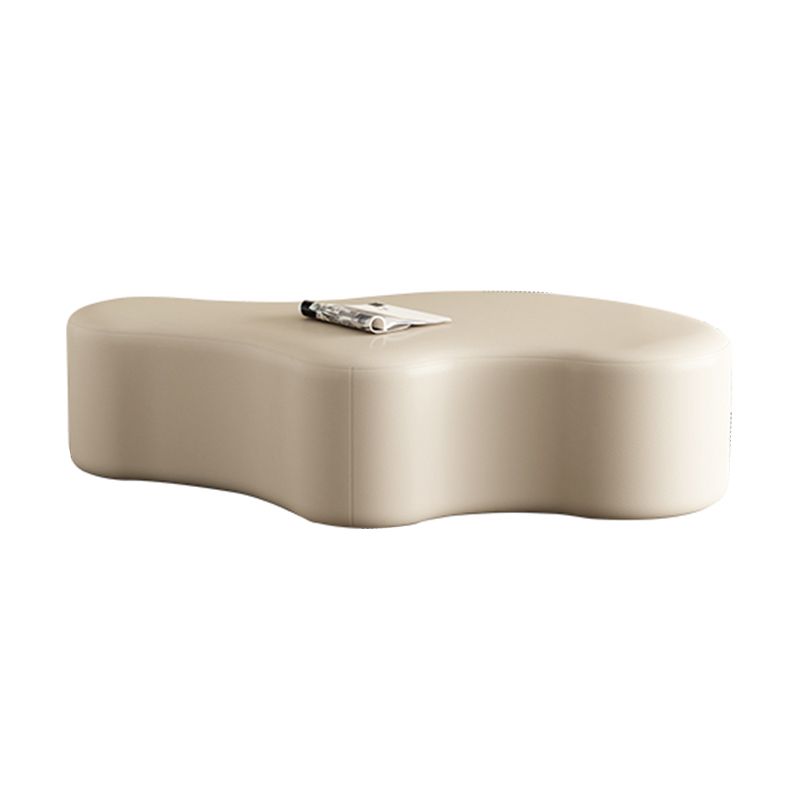 Modern Bedroom Entryway Bench Solid Wood Upholstered Seating Bench Clearhalo 'Benches' 'Chairs & Seating' 'furn' 'furn_benches' 'Furniture' 'Living Room Furniture' 1200x1200_60dde346-fd2c-480e-9575-939839ff7d9c