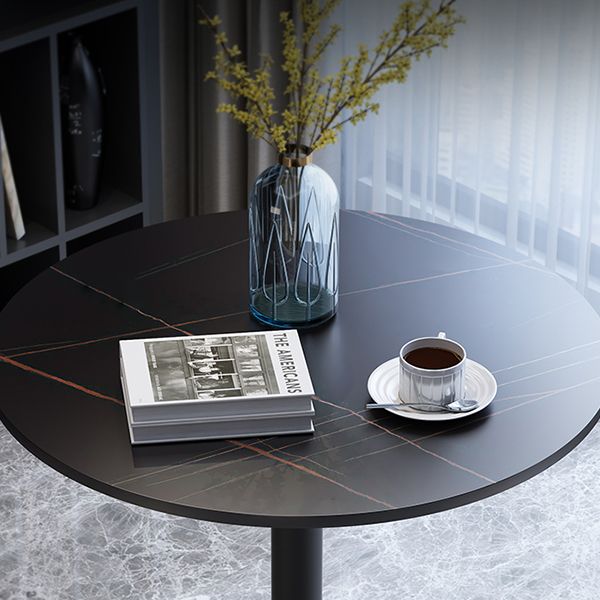 Metal Traditional Luxury Round Dining Table for Home Sintered Stone Table with Pedestal Clearhalo 'Dining Tables & Seating' 'Dining Tables' 'dining_table' 'furn' 'furn_dining_table' 'Furniture' 'Kitchen & Dining Furniture' 1200x1200_610c1f22-6208-479a-8254-651bb8c26fe1