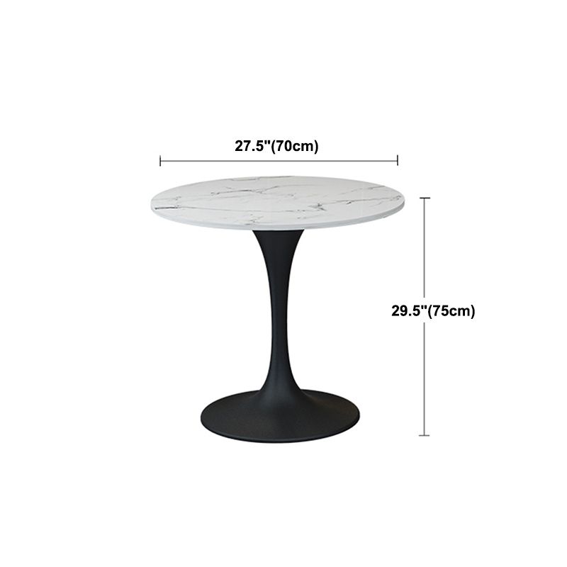 Modern Round Dining Table Sintered Stone Table with Tulip Base Clearhalo 'Dining Tables & Seating' 'Dining Tables' 'dining_table' 'furn' 'furn_dining_table' 'Furniture' 'Kitchen & Dining Furniture' 1200x1200_619372f8-2476-4616-9ca3-0a8ccccfd613