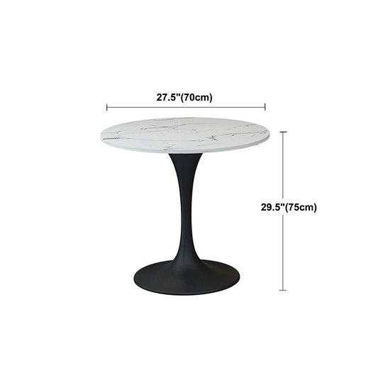 Modern Round Dining Table Sintered Stone Table with Tulip Base Clearhalo 'Dining Tables & Seating' 'Dining Tables' 'dining_table' 'furn' 'furn_dining_table' 'Furniture' 'Kitchen & Dining Furniture' 1200x1200_619372f8-2476-4616-9ca3-0a8ccccfd613