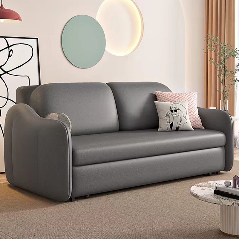 Faux leather Sleeper Sofa with Pillow Back Sofa Bed with Detachable Mattress Clearhalo 'furn' 'furn_futons' 'Furniture' 'Futons & Daybeds' 'Futons' 'Living Room Furniture' 1200x1200_619aba74-39de-4eb6-baa6-0e3bcc234c85