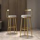 Tabouret de barre rond de repose-pied tissu tissu bas du dossier bas du bar pour Bristol