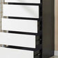 Contemporary Chest with Wooden Drawers Water Resistant Chest