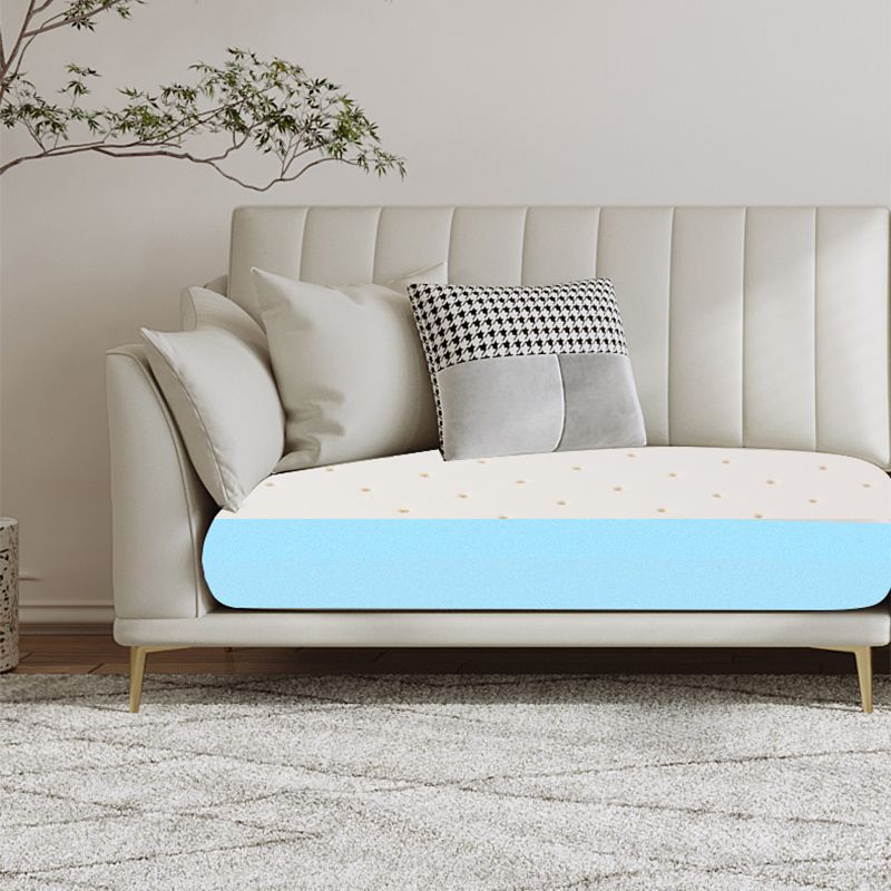 Stationary White Stain Resistant Living Room Pillow Top Arm Standard Settee Clearhalo 'furn' 'furn_sofas' 'Furniture' 'Living Room Furniture' 'Sofa' 'sofas' 1200x1200_625f1a5b-4aec-406f-8c1e-1be7d996fd7b