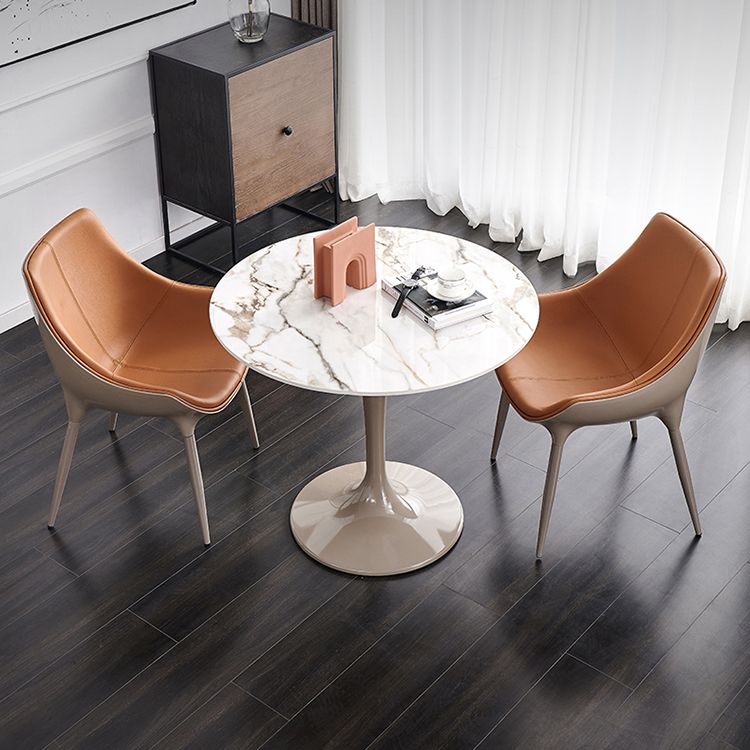 Modern Style Sintered Stone Dining Table White Round Tulip Base Dining Table Clearhalo ' dining_table' 'Dining Tables & Seating' 'Dining Tables' 'furn' 'furn_dining_table' 'Furniture' 'furniture_dining_table' 'Kitchen & Dining Furniture' 'kitchen&dining_furn' 'kitchen' 'kitchen_dining_table' 1200x1200_62997fca-250d-44fc-b54b-faee3ca9325f