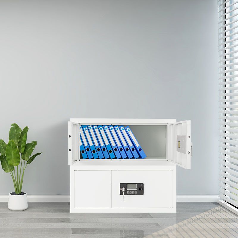 Contemporary File Cabinet Metal Frame Fire-Resistant Lateral File Cabinet with Lock Clearhalo 'Filing Cabinets' 'filling_cabinets' 'furn' 'furn_filling_cabinets' 'Furniture' 'Office Furniture' 1200x1200_62ebe417-ff85-45ba-b05c-ae3247f1d8c5