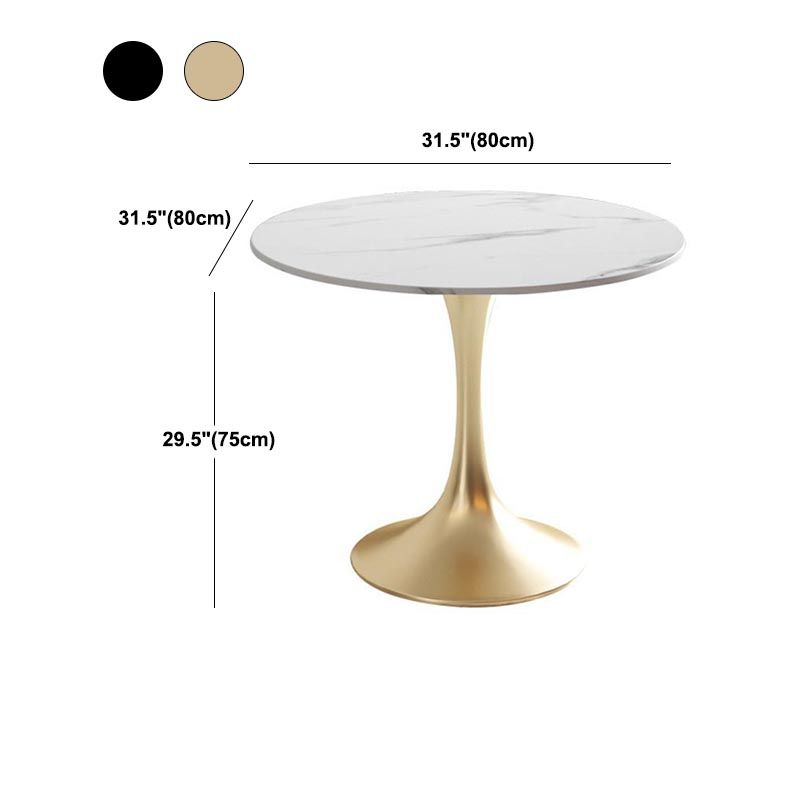 White Sintered Stone Top Table with Tulip Base Metal Traditional Luxury Round Dining Table Clearhalo 'Dining Tables & Seating' 'Dining Tables' 'dining_table' 'furn' 'furn_dining_table' 'Furniture' 'Kitchen & Dining Furniture' 1200x1200_63251c58-e0e1-485c-9fab-7374d1134d9d