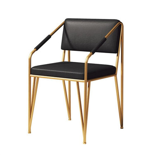 Scandinavian Style Metal Chairs Kitchen Open Back Side Chair (Set of 2) Clearhalo ' kitchen&dining_furn' 'Dining Chairs' 'Dining Tables & Seating' 'dining_chair' 'furn' 'furn_dining_chair' 'Furniture' 'furniture_dining_chair' 'Kitchen & Dining Furniture' 'kitchen' 1200x1200_634bfeae-b6f0-4190-b743-9011cade8d5d