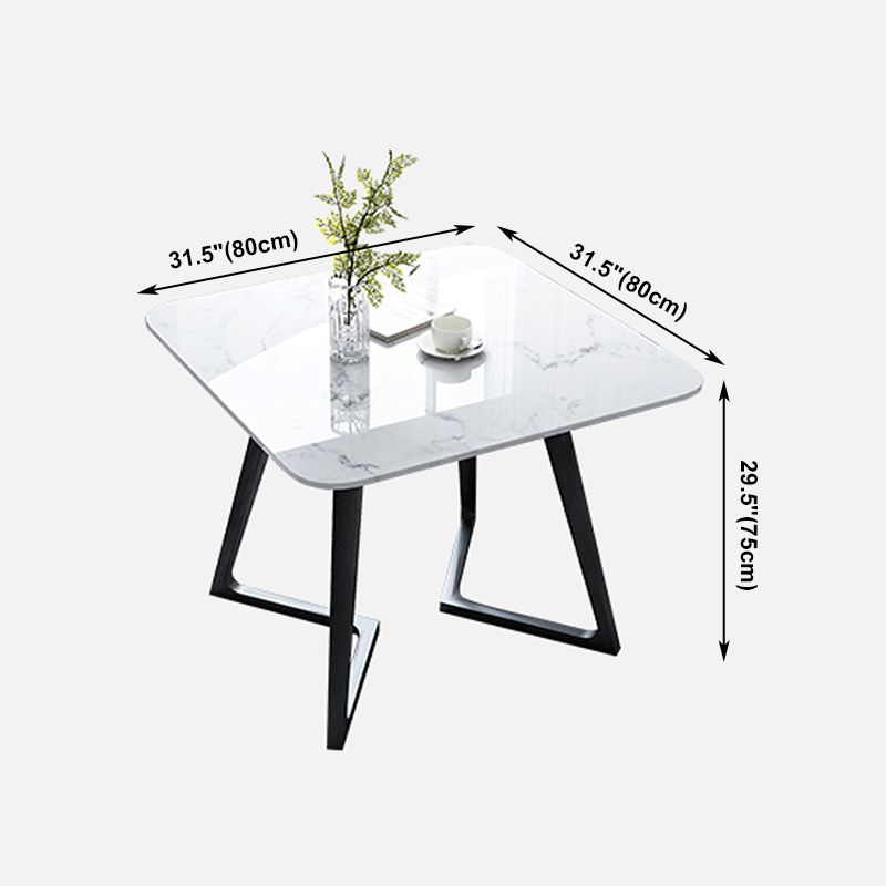 Double Pedestal Stone Table Industrial Style Dining Room Table for Indoor Clearhalo ' dining_table' 'Dining Tables & Seating' 'Dining Tables' 'furn' 'furn_dining_table' 'Furniture' 'furniture_dining_table' 'Kitchen & Dining Furniture' 'kitchen&dining_furn' 'kitchen' 'kitchen_dining_table' 1200x1200_63d06a8a-fec0-48a1-bafd-1710164410a3