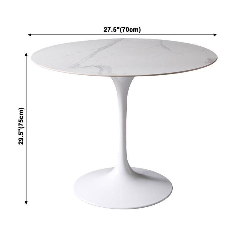 Simplicity Round Dining Table Sintered Stone Table with White Tulip Base for Dining Room Clearhalo ' dining_table' 'Dining Tables & Seating' 'Dining Tables' 'furn' 'furn_dining_table' 'Furniture' 'furniture_dining_table' 'Kitchen & Dining Furniture' 'kitchen&dining_furn' 'kitchen' 'kitchen_dining_table' 1200x1200_63dfaca2-2359-4527-8f59-2df0ed5bea31