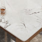 Mid-Century Modern Dining Table Stone Dining Table with Solid Wood Base Clearhalo 'Dining Tables & Seating' 'Dining Tables' 'dining_table' 'Furniture' 'furniture_dining_table' 'Kitchen & Dining Furniture' 'kitchen' 'kitchen_dining_table' 1200x1200_6424d570-9d69-470d-b6fe-0a06b970b8f5