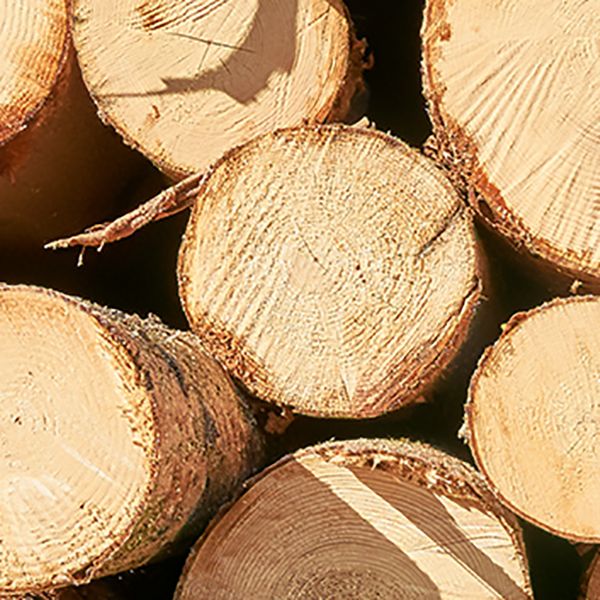 Wood Accent Cabinet, Glass Doors Storage Cabinet - Solid Wood Clearhalo 'Cabinets & Chests' 'cabinets_chests' 'furn' 'furn_cabinets_chests' 'Furniture' 'Living Room Furniture' 1200x1200_648aa428-4b32-4f7c-a593-056d56c14cba