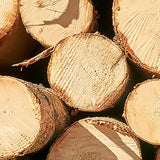 Wood Accent Cabinet, Glass Doors Storage Cabinet - Solid Wood Clearhalo 'Cabinets & Chests' 'cabinets_chests' 'furn' 'furn_cabinets_chests' 'Furniture' 'Living Room Furniture' 1200x1200_648aa428-4b32-4f7c-a593-056d56c14cba