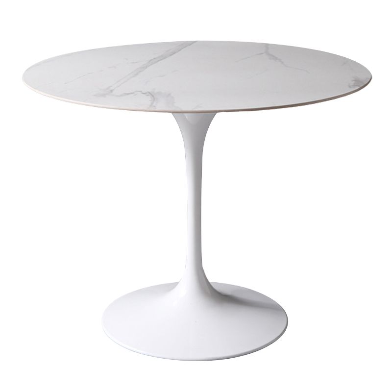 Simplicity Round Dining Table Sintered Stone Table with White Tulip Base for Dining Room Clearhalo ' dining_table' 'Dining Tables & Seating' 'Dining Tables' 'furn' 'furn_dining_table' 'Furniture' 'furniture_dining_table' 'Kitchen & Dining Furniture' 'kitchen&dining_furn' 'kitchen' 'kitchen_dining_table' 1200x1200_64be246f-c1d2-40a4-a63a-4b81fe4f0fa6