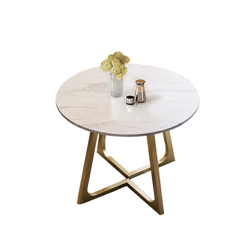 Glam Stone Round Dining Table Double Pedestal Table for Dining Room Clearhalo 'Dining Tables & Seating' 'Dining Tables' 'dining_table' 'furn' 'furn_dining_table' 'Furniture' 'Kitchen & Dining Furniture' 1200x1200_64c7e5e8-623e-45be-ae6f-c463b8e255c1