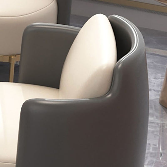 Tuxedo Arm Standard Sofa Leather and Iron Seating in Beige for Bonus Room