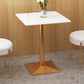 Traditional Luxury Dining Table White Sintered Stone Table with Metal Base Clearhalo ' dining_table' 'Dining Tables & Seating' 'Dining Tables' 'furn' 'furn_dining_table' 'Furniture' 'furniture_dining_table' 'Kitchen & Dining Furniture' 'kitchen&dining_furn' 'kitchen' 'kitchen_dining_table' 1200x1200_65790b12-150b-4880-acef-f5416c375c80