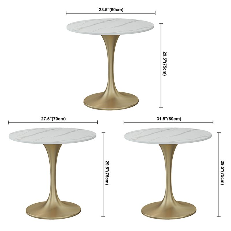 Contemporary Round Dining Table Sintered Stone Dining Table with Tulip Base Clearhalo ' dining_table' 'Dining Tables & Seating' 'Dining Tables' 'Furniture' 'furniture_dining_table' 'Kitchen & Dining Furniture' 'kitchen&dining_furn' 'kitchen' 'kitchen_dining_table' 1200x1200_6582ffb6-5886-4f4b-bd96-2a5ca33d39fb