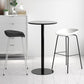 Contemporary Bar-stool Plastic Counter Bar Stool with Metal Legs for Kitchen Clearhalo 'Bar Furniture' 'Bar Stools' 'bar_stools' 'furn' 'furn_bar_stools' 'Furniture' 'furniture_bar_stools' 'Kitchen & Dining Furniture' 1200x1200_65848efe-eef8-4520-b080-c2b1bd05a000