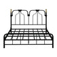 49.21" Modernism Metal Bed with Headboard Low Profile Standard Bed Clearhalo 'Bedroom Furniture' 'Beds' 'furn' 'furn_beds' 'Furniture' 1200x1200_65ecd085-f396-4a9d-a198-565383a5d85b