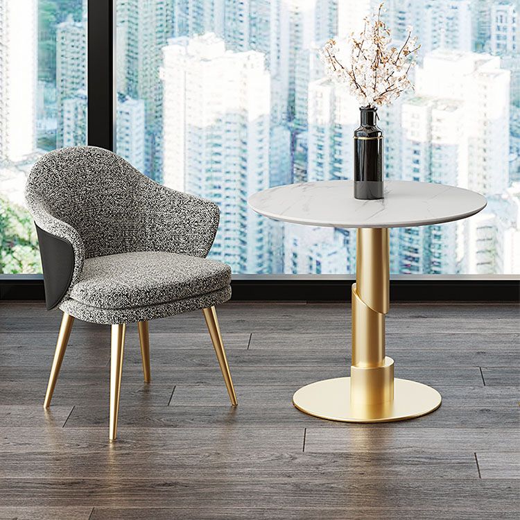 Nordic Style Metal Dining Chair Upholstered Arm Chair for Restaurant Use Clearhalo 'Dining Chairs' 'Dining Tables & Seating' 'dining_chair' 'furn' 'furn_dining_chair' 'Furniture' 'Kitchen & Dining Furniture' 1200x1200_65f2fcba-ab23-415a-a375-cb79a8838c7e