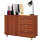 Contemporary Wood Accent Cabinet with Drawer Rectangle Side Cabinet