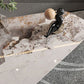 Italian Slate Special-shaped Table Modern Minimalist Designer Irregular Coffee Table Clearhalo 'Coffee & Accent Tables' 'Coffee Tables' 'coffee_tables' 'furn' 'furn_coffee_tables' 'Furniture' 'Living Room Furniture' 1200x1200_662023c6-0b4b-404c-b61f-8857f7680211