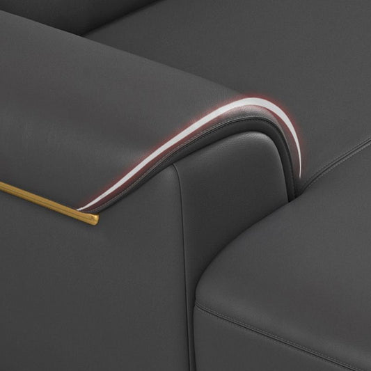 Dark Gray Genuine Leather Sofa and Chaise Pillow Top Arm Sectional for Living Room Clearhalo 'furn' 'furn_sectionals' 'Furniture' 'furniture_sectionals' 'Living Room Furniture' 'Sectionals' 1200x1200_6622bbe1-8ec1-40c1-baa0-30bd1a13ef40