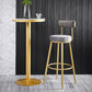 Scandinavian Round Low Back Barstools Upholstered Bar Stools Clearhalo 'Bar Furniture' 'Bar Stools' 'bar_stools' 'furn' 'furn_bar_stools' 'Furniture' 'furniture_bar_stools' 'Kitchen & Dining Furniture' 1200x1200_663bd508-e09c-43ca-a8ca-072b1e93e10f