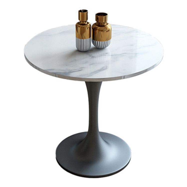 Metal Contemporary Round Dining Table Sintered Stone Dining Table with Pedestal Base Clearhalo ' dining_table' 'Dining Tables & Seating' 'Dining Tables' 'furn' 'furn_dining_table' 'Furniture' 'furniture_dining_table' 'Kitchen & Dining Furniture' 'kitchen&dining_furn' 'kitchen' 'kitchen_dining_table' 1200x1200_664d6b77-5598-451b-b6b1-181dfe60f1b5