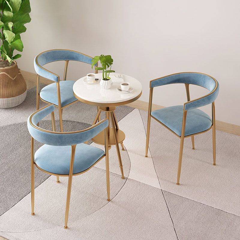 Glam Velvet Dining Room Chairs Metal Dining Side Arm Chairs for Restaurant Use Clearhalo ' kitchen&dining_furn' 'Dining Chairs' 'Dining Tables & Seating' 'dining_chair' 'furn' 'furn_dining_chair' 'Furniture' 'furniture_dining_chair' 'Kitchen & Dining Furniture' 'kitchen' 1200x1200_668fa667-a7d9-46f5-b8bf-646e1f72b10a