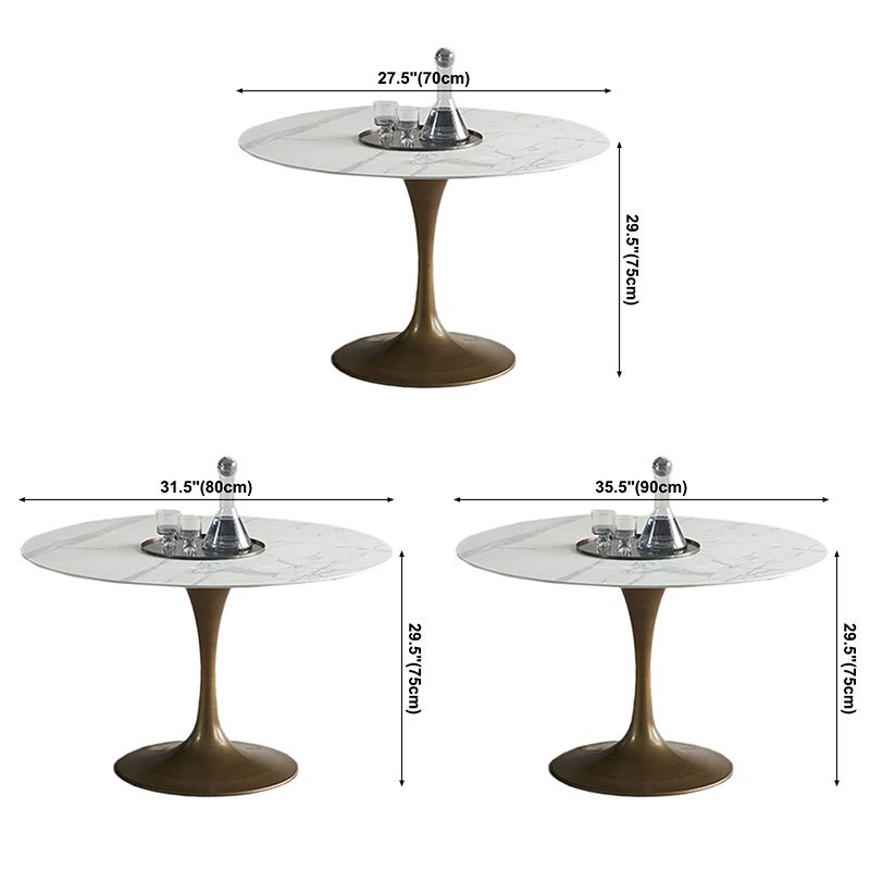 Modern Style Stone Dining Table Tulip Base Dining Site Table, for Dining Room Clearhalo ' dining_table' 'Dining Tables & Seating' 'Dining Tables' 'furn' 'furn_dining_table' 'Furniture' 'furniture_dining_table' 'Kitchen & Dining Furniture' 'kitchen&dining_furn' 'kitchen' 'kitchen_dining_table' 1200x1200_66dd1e8b-45c1-4be5-b811-ec93ce168ae0