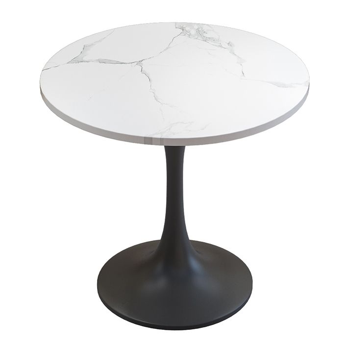 Simple Style Sintered Stone Dining Table Tulip Base Round Table for Home Clearhalo ' dining_table' 'Dining Tables & Seating' 'Dining Tables' 'furn' 'furn_dining_table' 'Furniture' 'furniture_dining_table' 'Kitchen & Dining Furniture' 'kitchen&dining_furn' 'kitchen' 'kitchen_dining_table' 1200x1200_673dd7ee-1ea1-4e4e-b597-061909debdb3