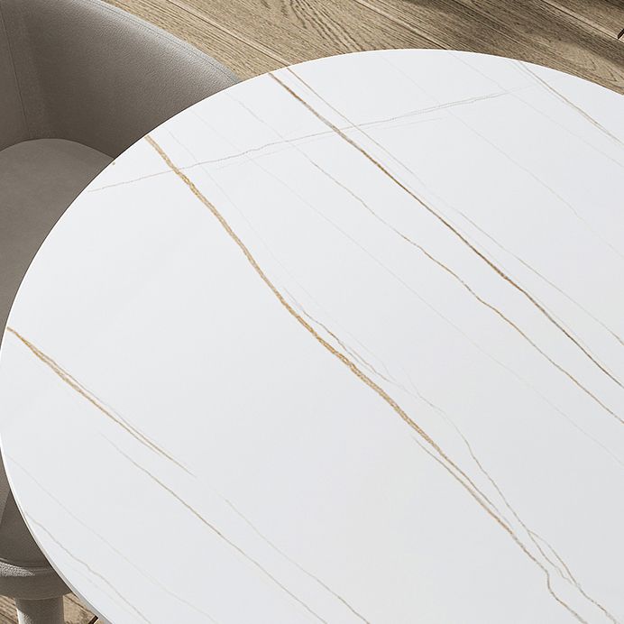 Contemporary Oval Dining Table Sintered Stone Dining Table with 3 Legs for Dining Room Clearhalo ' dining_table' 'Dining Tables & Seating' 'Dining Tables' 'furn' 'furn_dining_table' 'Furniture' 'furniture_dining_table' 'Kitchen & Dining Furniture' 'kitchen&dining_furn' 'kitchen' 'kitchen_dining_table' 1200x1200_67776604-b0f8-43b6-b538-a4229d639cc7