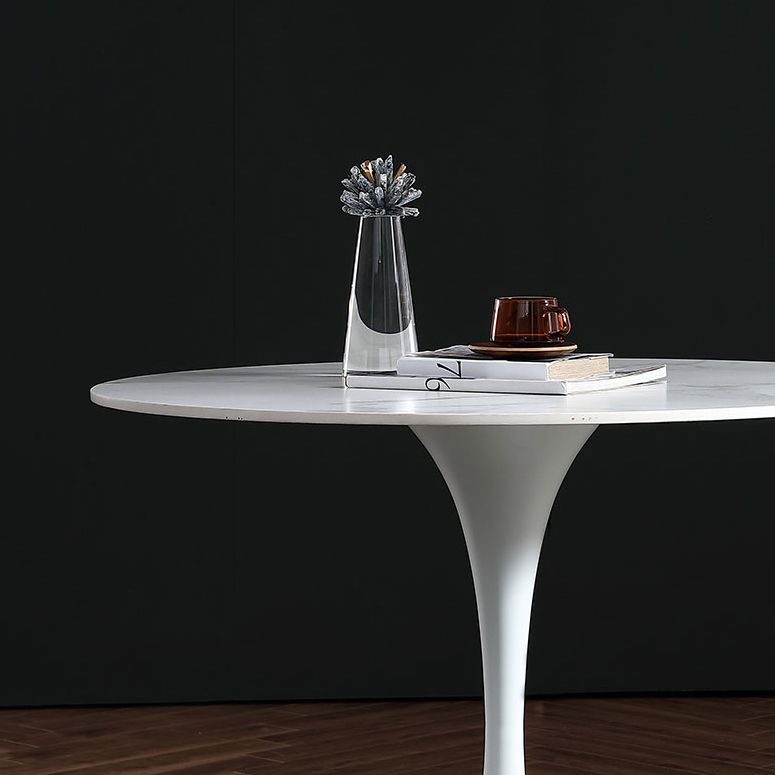 Stone Top Dining Table Modern Round Dining Table with Pedestal Base Clearhalo 'Dining Tables & Seating' 'Dining Tables' 'dining_table' 'furn' 'furn_dining_table' 'Furniture' 'furniture_dining_table' 'Kitchen & Dining Furniture' 'kitchen' 'kitchen_dining_table' 1200x1200_67cf69ae-5692-483f-add5-3d311e80dfe2
