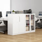 Contemporary File Cabinet Steel Frame Fire-Resistant File Cabinet